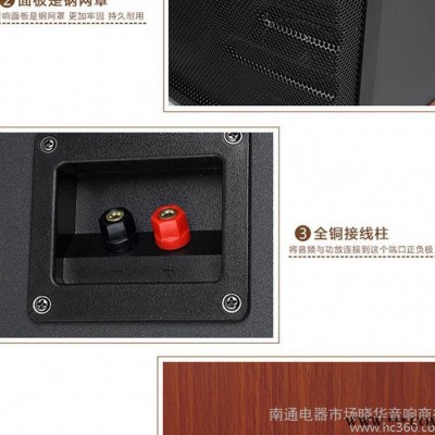 HYUNDAI/现代HY-10V卡拉ok专业舞台音箱 家用k