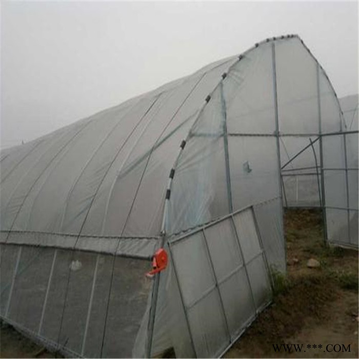 桁架钢结构施大棚工方案 花卉用温室大棚造价 旭航图3