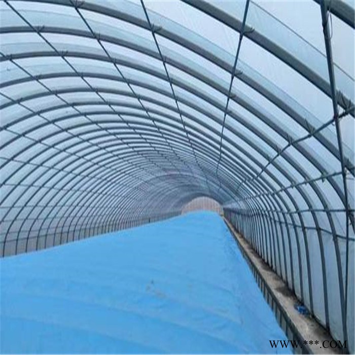 桁架钢结构施大棚工方案 花卉用温室大棚造价 旭航图2