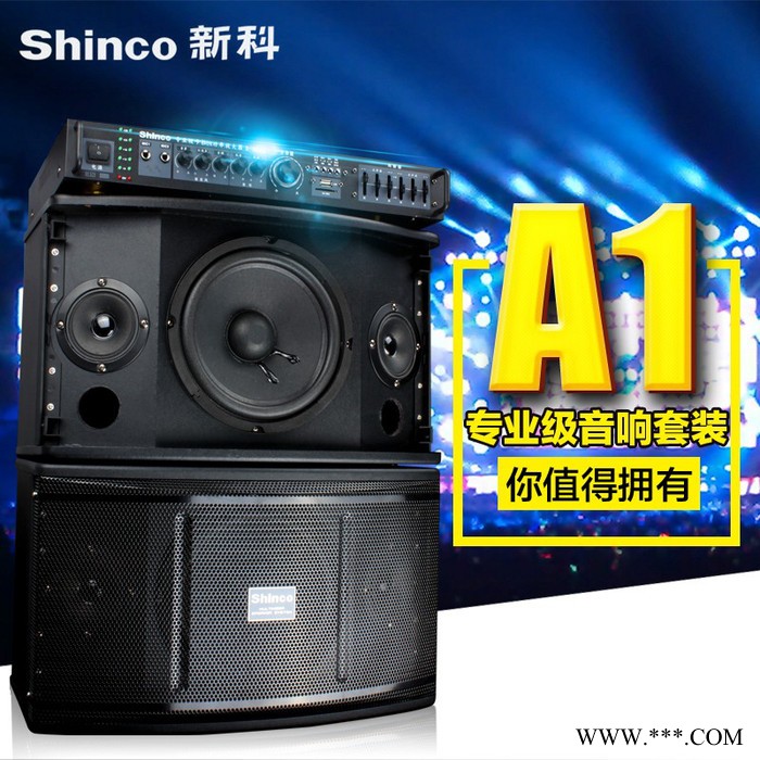 Shinco/新科 A1家用卡拉ok音响套装专用ktv设备舞台唱吧音箱功放图4