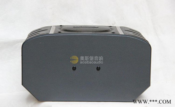 BIK款998 KTV工程10寸卡包音箱/专业舞台音响/卡拉图2