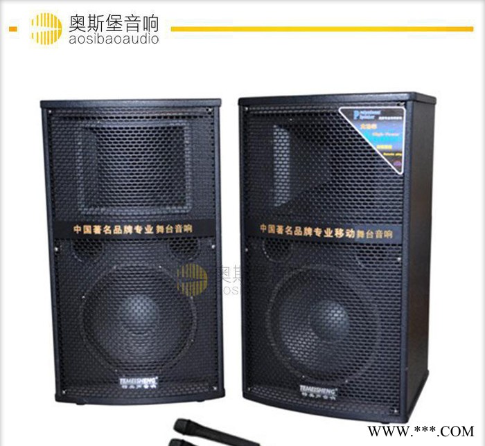 113T特美声有源带功放配无线麦单10寸音箱/专业舞台音响广图2