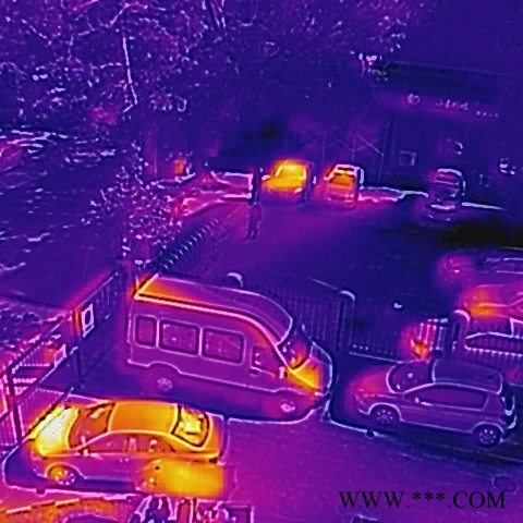 FLIR DUO 运动相机红外热像仪无人机用兼容GOPRO云台一体热像仪FLIR DUO-R测温升级版加3000元图2