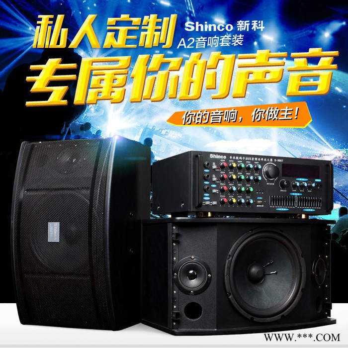 Shinco/新科 A2家庭KTV音响套装专业卡拉OK设备舞台专用卡包音箱图3