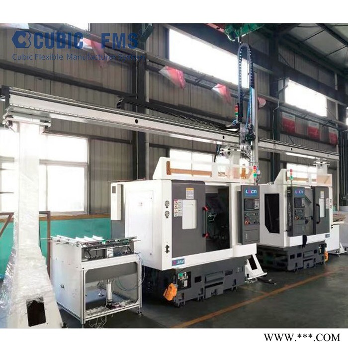 CUBIC桁架式机械手、桁架上下料、桁架机器人、上下料机械手、龙门式机械手 **可定制图3
