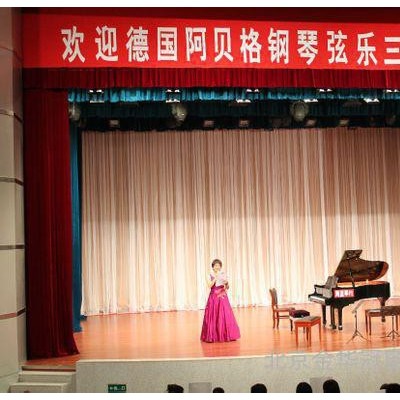 金舞美专业批发阻燃舞台幕布 会议幕布 led星空幕布 背景幕布厂家
