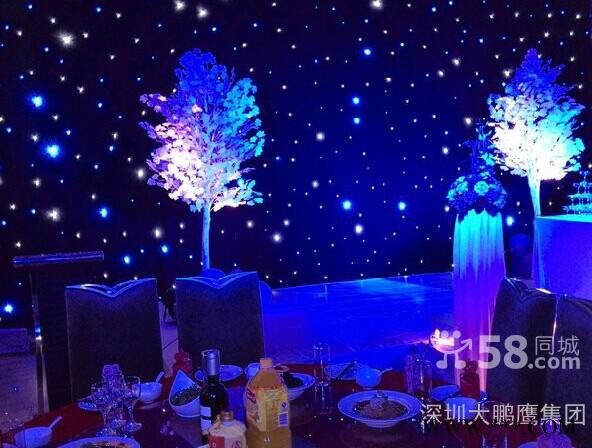 大鹏鹰婚庆舞台灯光 舞台背景LED蓝白星空幕布图3