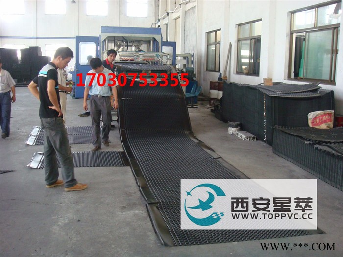 青海西宁PVC排水板作用.塑料排水板价格疏水板种植绿化排水板生产厂家十字排水板隔根板施工工艺**图6