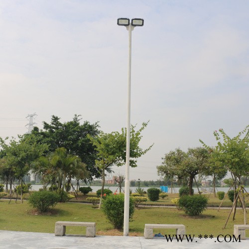 现货批发6米路灯灯杆 单臂A字臂路灯** 小区led道路照明灯采购图3