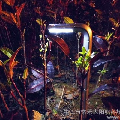 出口太阳能新款七字型插地灯草坪灯塑料灯喷银色漆4LED花园灯