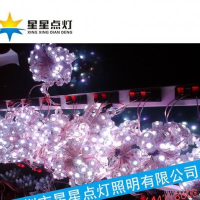 2公分点光源单色透镜/隐形手表灯 大型字招牌LED点光源2c