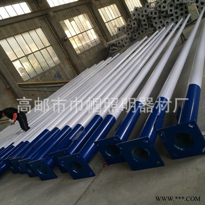 厂家供应市政路灯 节能a字臂6米高杆市电单挑臂金豆LED路灯 优惠图4