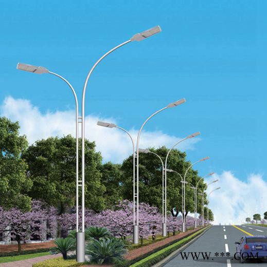 LED路灯杆 路灯杆 海螺臂/A字臂/单臂/双臂LED路灯 小区/公园/广场照明路灯 LED路灯批发图3