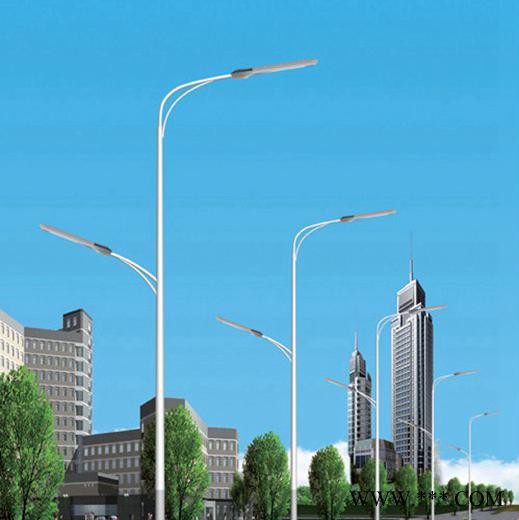 LED路灯杆 路灯杆 海螺臂/A字臂/单臂/双臂LED路灯 小区/公园/广场照明路灯 LED路灯批发图2