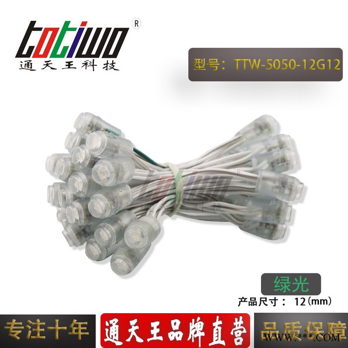 供应12V12MM绿光外露灯串 贴片5050广告灯串 穿孔字灯串 LED外露灯串 LED灯串 led外露灯串图4