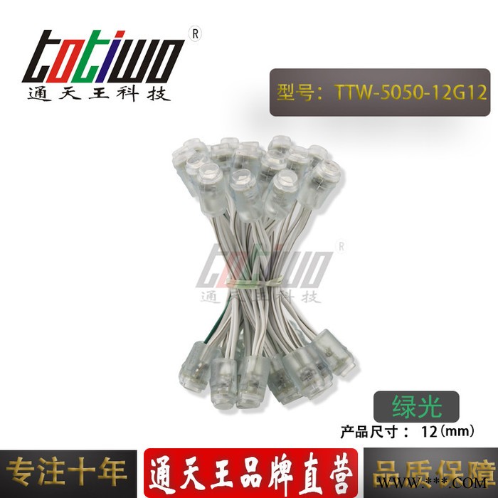 供应12V12MM绿光外露灯串 贴片5050广告灯串 穿孔字灯串 LED外露灯串 LED灯串 led外露灯串图5