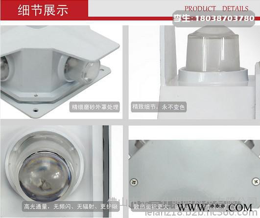 led墙体亮化灯具led十字灯点光源品牌供应商乐兰仕
