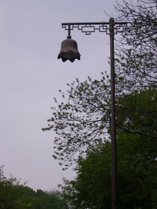 大妙光-042供应6-10米led单臂道路灯 6米A字臂灯杆 8米双臂路灯灯杆 LED10米道路灯图3