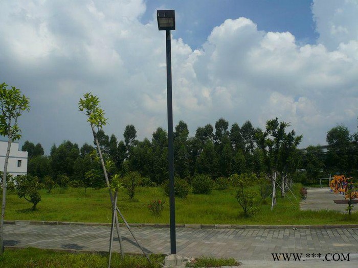 大妙光-042供应6-10米led单臂道路灯 6米A字臂灯杆 8米双臂路灯灯杆 LED10米道路灯图2