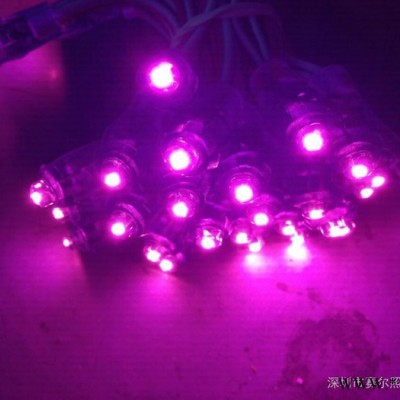 强力推荐   深圳**户外发光字LED蓝色灯串 |LED外露灯9MM蓝色