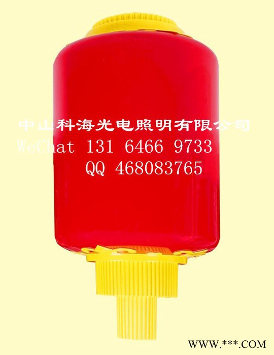 科海光电冬瓜灯笼 灯杆造型灯笼、LED东瓜长灯笼、可贴字订图4