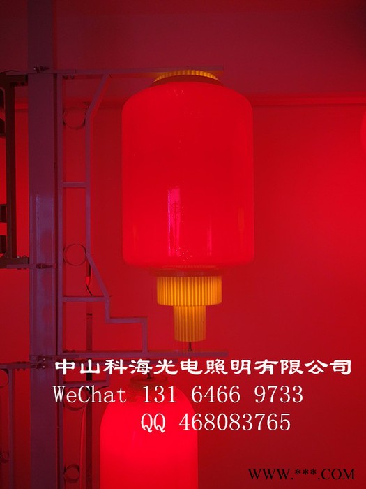 科海光电冬瓜灯笼 灯杆造型灯笼、LED东瓜长灯笼、可贴字订图5