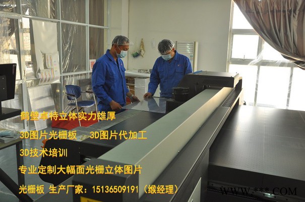 工厂直销光栅板材三维立体画大尺寸3D画透明度高清晰感强3D广告画、裸眼3D板、立体加变画、3D立体画、3D光栅板、图3