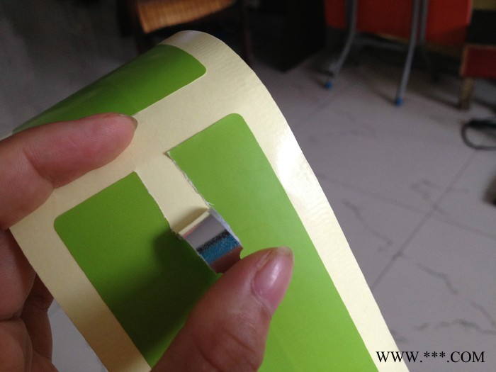 广东东莞LINTEC银消PET标签100*102MM单排R23mm1拼铭牌厂图2