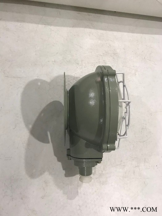 中沈防爆CBXL 隔爆型吸顶灯CBXL-100**证书齐全图2
