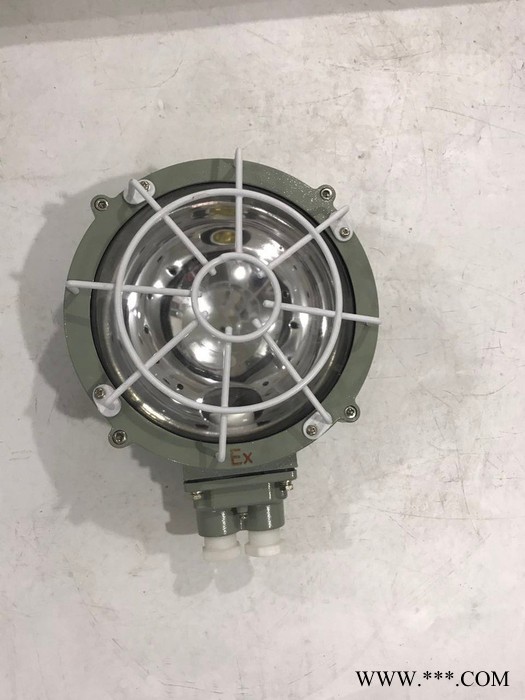 中沈防爆CBXL 隔爆型吸顶灯CBXL-100**证书齐全图3