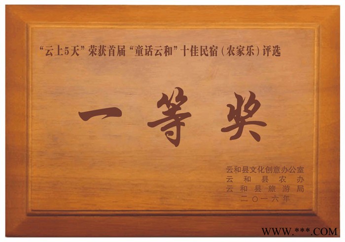 广州定做实木奖杯雕刻奖牌 实木证书先进集体牌匾 广州木质奖牌授权牌厂图3