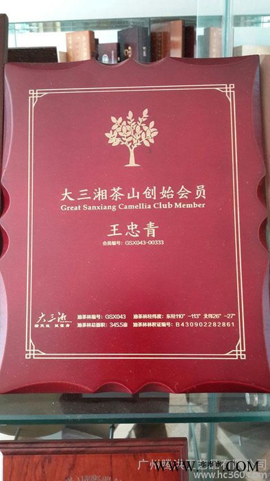 广州定做实木奖杯雕刻奖牌 实木证书先进集体牌匾 广州木质奖牌授权牌厂图1