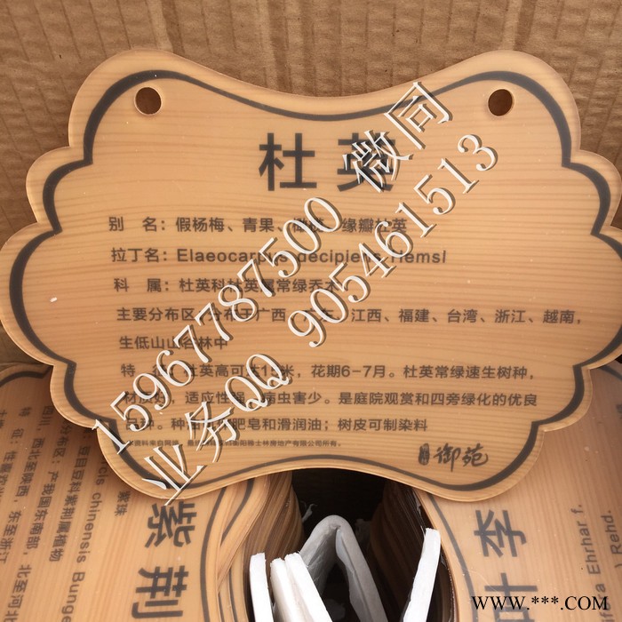 优耐标牌yn-sp树牌 古树名木保护牌 绿化园林树木挂牌 户外植物介绍标牌图5