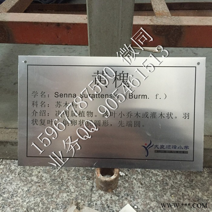 优耐标牌yn-sp树牌 古树名木保护牌 绿化园林树木挂牌 户外植物介绍标牌