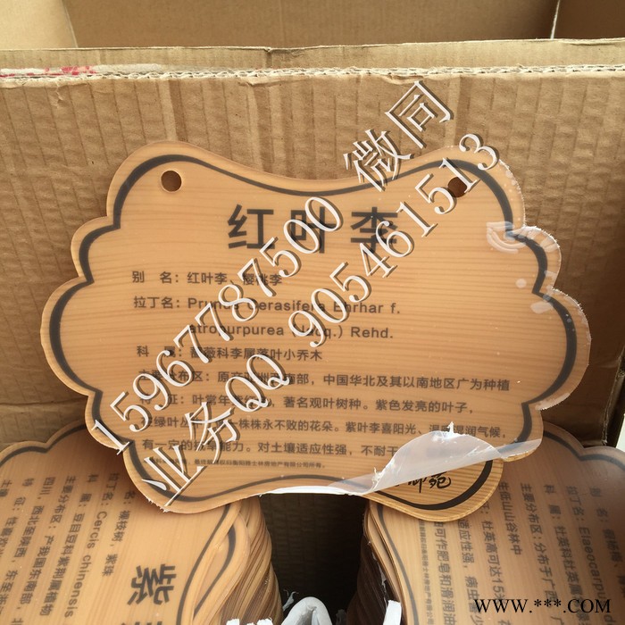 优耐标牌yn-sp树牌 古树名木保护牌 绿化园林树木挂牌 户外植物介绍标牌图4