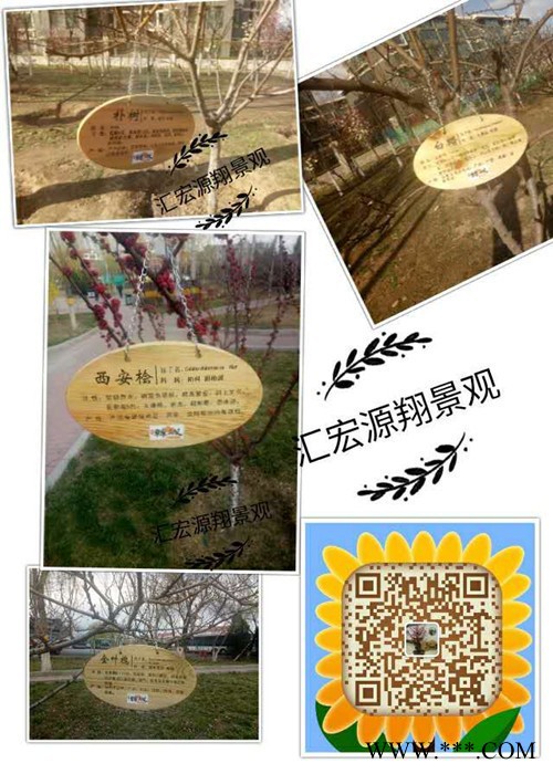 汇宏源翔 实木植物挂牌制作厂家图5