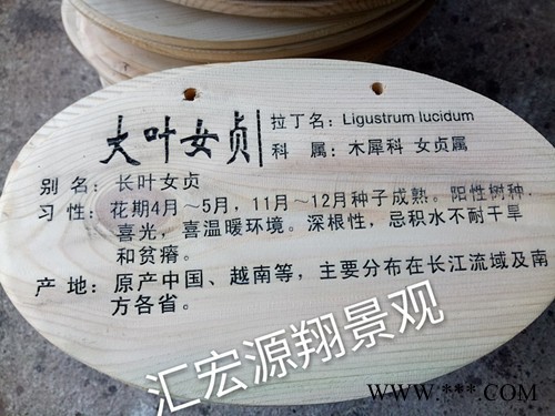 汇宏源翔 实木植物挂牌制作厂家图7