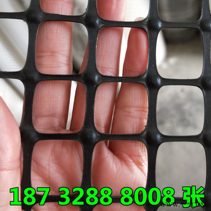 厂家供应  防火阻燃塑胶网 广告牌灯箱 黑 白灰塑料网 规格全图1