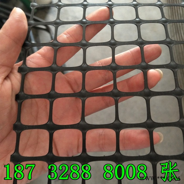 奔宇   厂家生产 广告字专用 塑料阻燃底网 广告牌用阻燃网  材质规格齐全 可定制图6