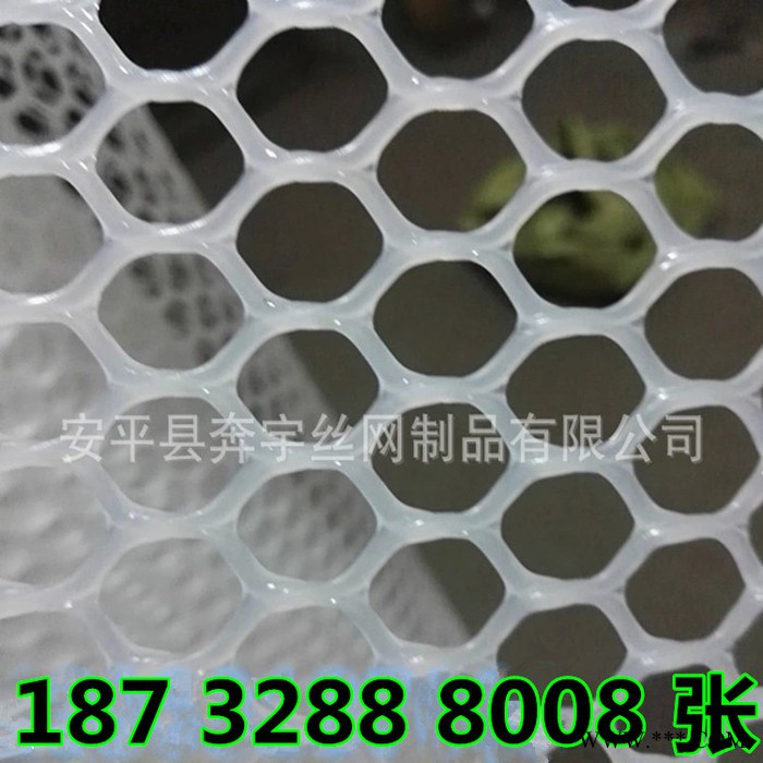 奔宇  厂家生产供应 广告牌用抗老化 阻燃 塑料网 塑胶网 可按需定制图5