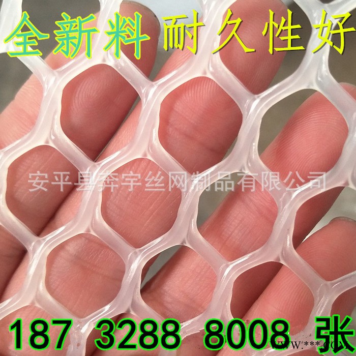 奔宇  厂家生产供应 广告牌用抗老化 阻燃 塑料网 塑胶网 可按需定制图3