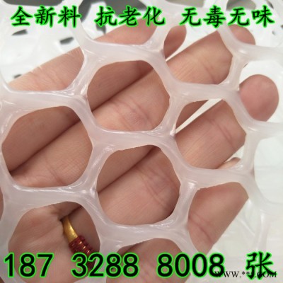 奔宇  厂家生产供应 广告牌用抗老化 阻燃 塑料网 塑胶网 可按需定制