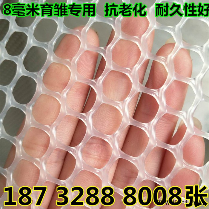 奔宇  厂家生产供应 广告牌用抗老化 阻燃 塑料网 塑胶网 可按需定制图6