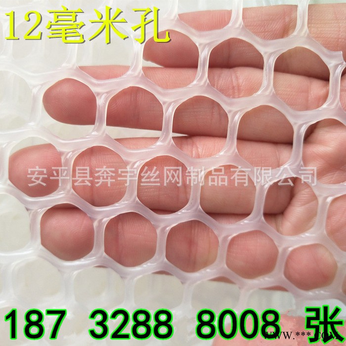 奔宇  厂家生产供应 广告牌用抗老化 阻燃 塑料网 塑胶网 可按需定制图2