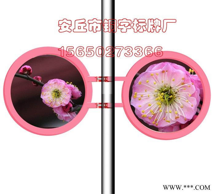 安丘灯杆广告牌户外灯箱 自己生产 价格合适 质量放心 圆形灯箱图3