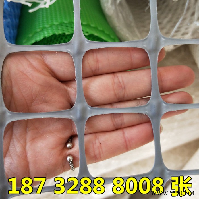厂家生产 阻燃塑料网 灯箱塑料网 广告牌塑料网 高强度塑料网图2