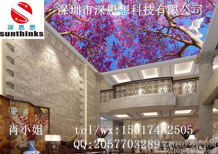 皮革灯箱广告牌彩印机帆布油画小理光（SGH-1513） 手机壳 打印机化妆品盒 金属铭片玩具浮雕打印机图2