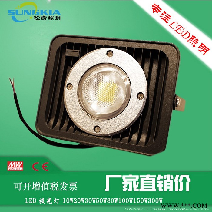 SK长久供应足瓦户外工程灯具 TG-F3-100W 100W太阳花灯图5