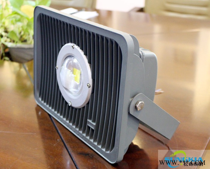 SK长久供应足瓦户外工程灯具 TG-F3-100W 100W太阳花灯图3