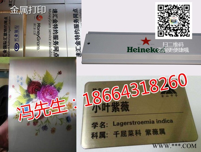 大诚光驰东芝DG1510 打印机 U盘打印机图4